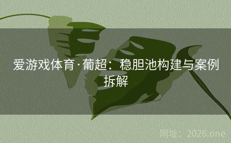 爱游戏体育·葡超：稳胆池构建与案例拆解