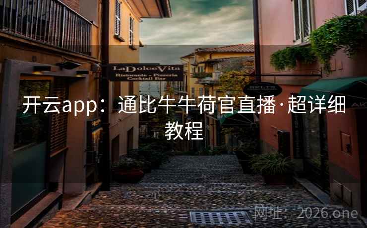 开云app：通比牛牛荷官直播·超详细教程