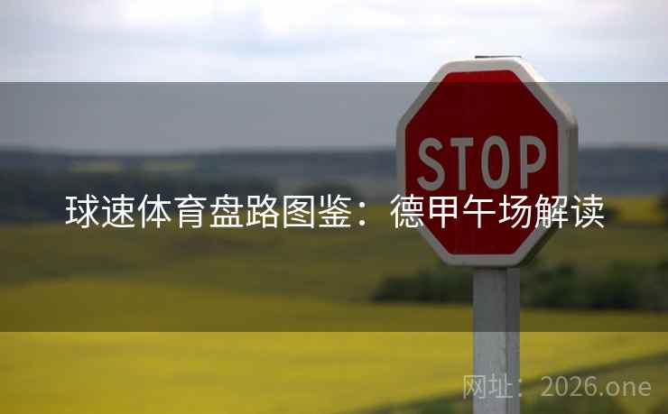 球速体育盘路图鉴:德甲午场解读 球速体育盘路图鉴:德甲午场解读