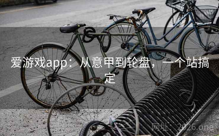 爱游戏app:从意甲到轮盘,一个站搞定 爱游戏app:从意甲到轮盘,一个站搞定