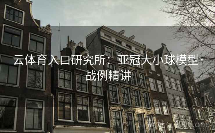 云体育入口研究所：亚冠大小球模型·战例精讲