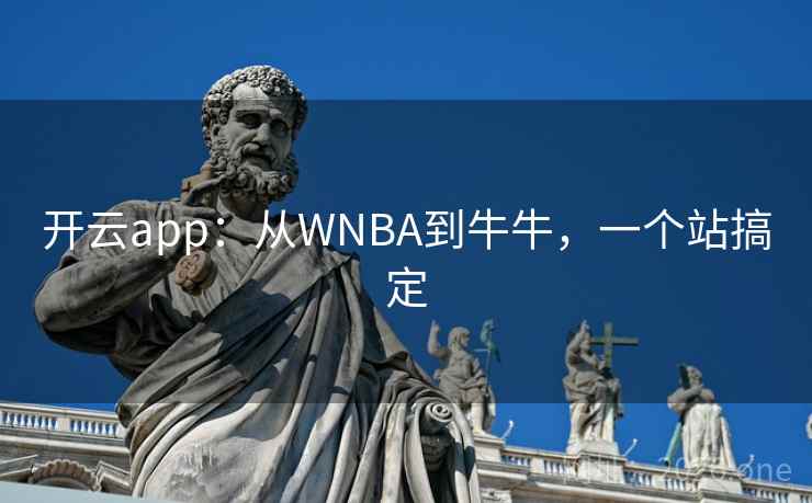 开云app:从WNBA到牛牛,一个站搞定 开云app:从WNBA到牛牛,一个站搞定